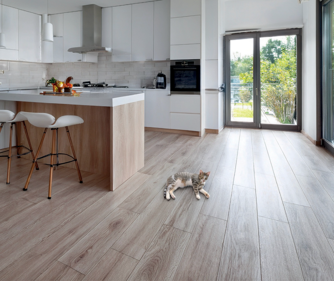 Baufloor Silver pavimento SPC