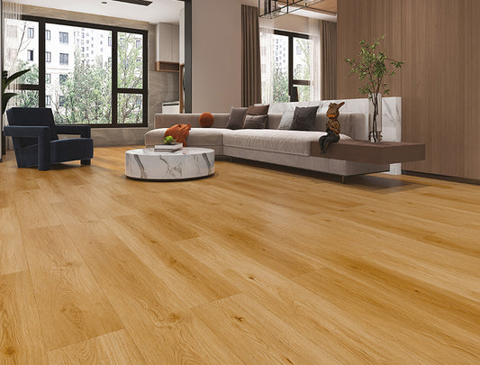 OFFERTA Baufloor Royal Pavimento SPC
