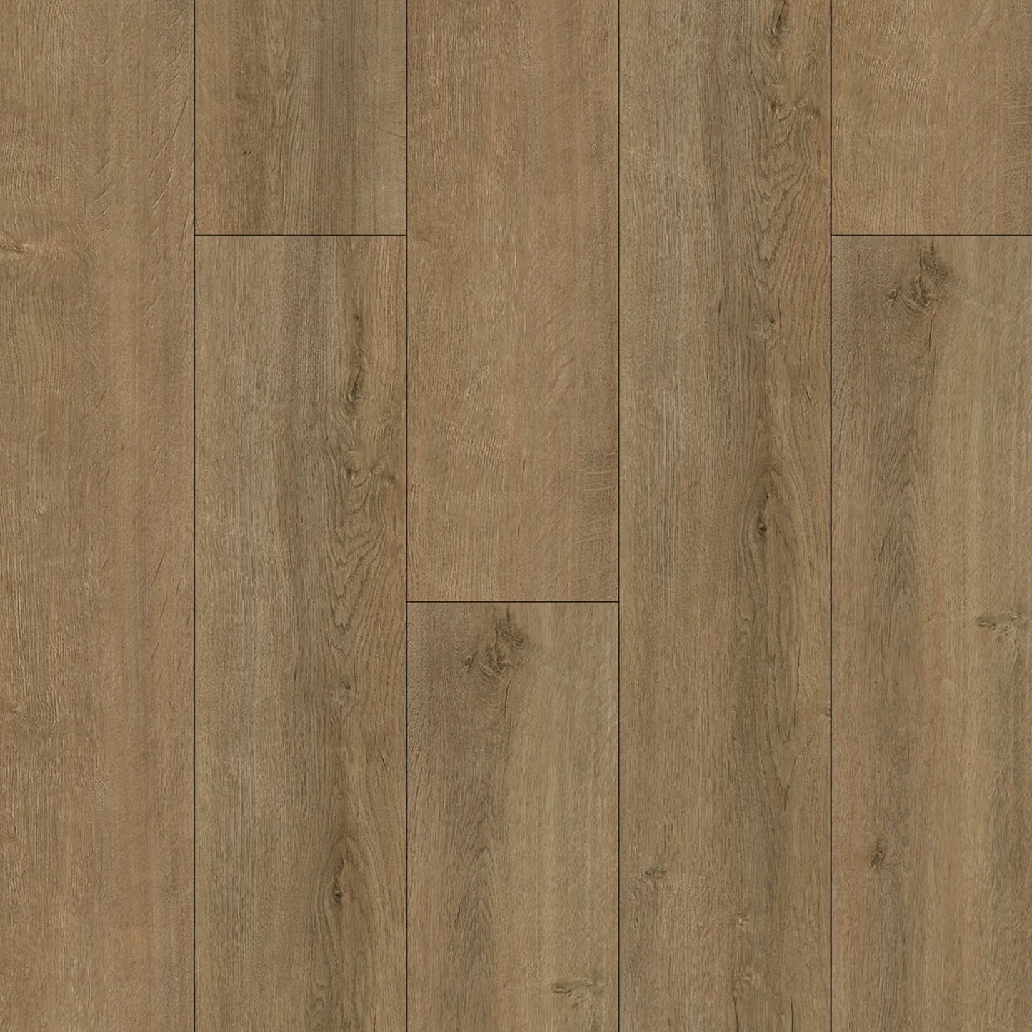 OFFERTA Baufloor Silver Pavimento SPC