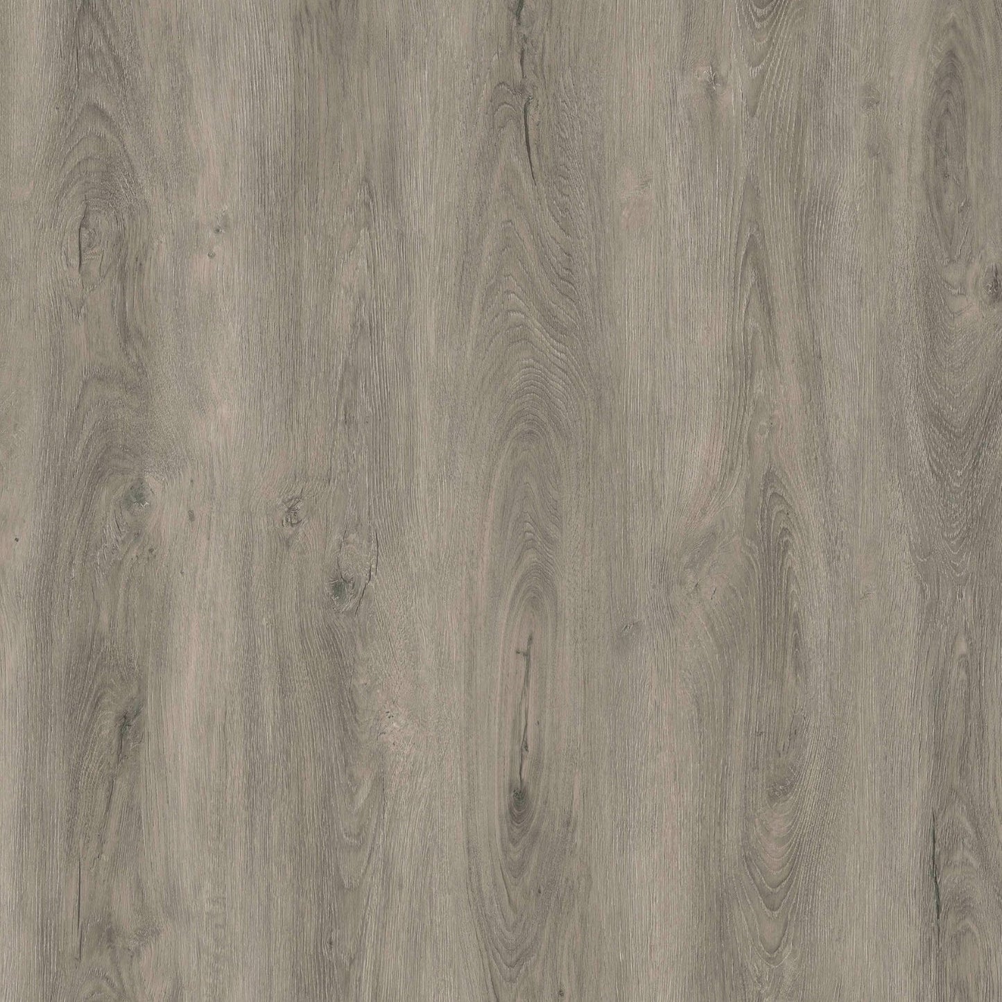 OFFERTA Baufloor Luxury SPC Pavimento effetto legno