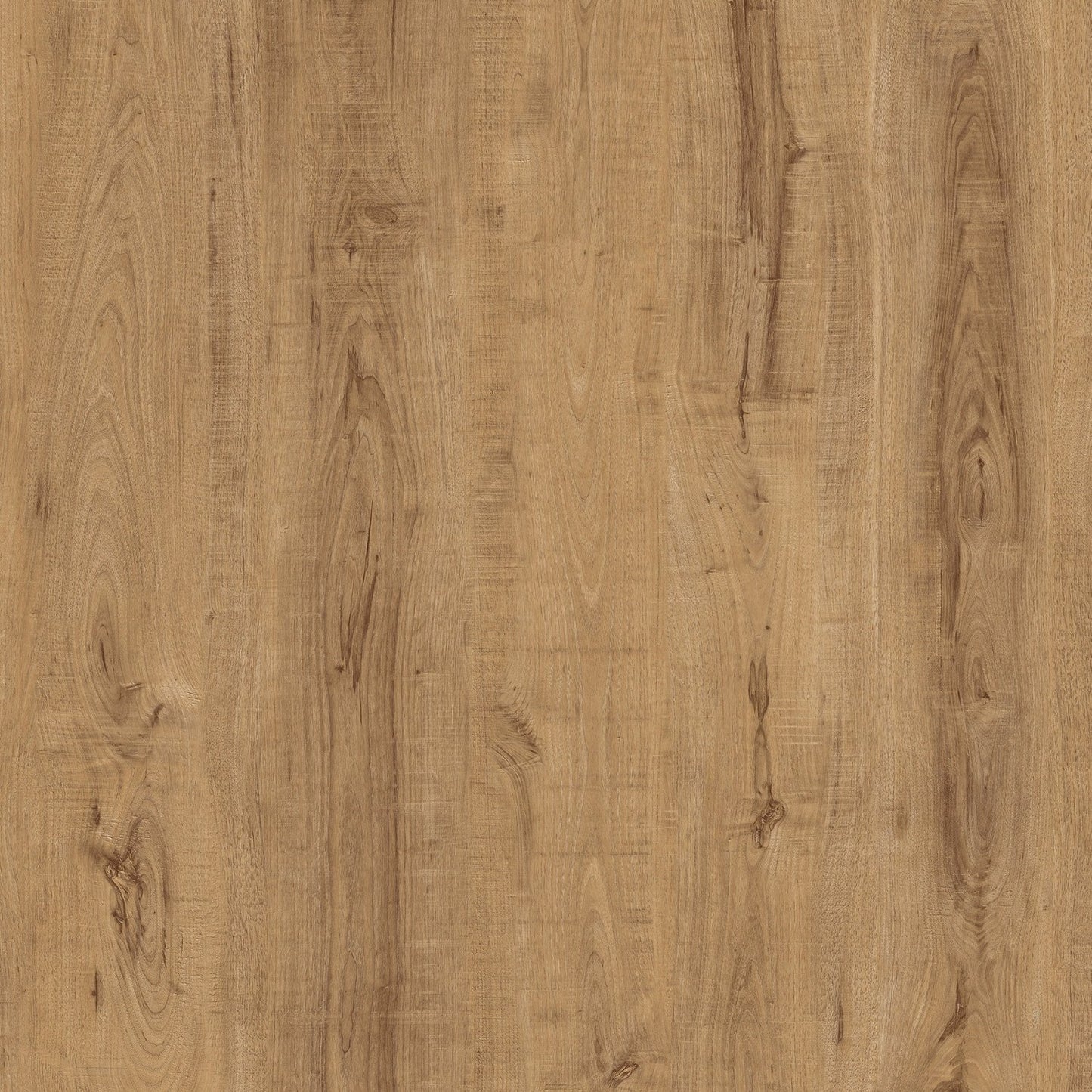 OFFERTA Baufloor Silver Pavimento SPC