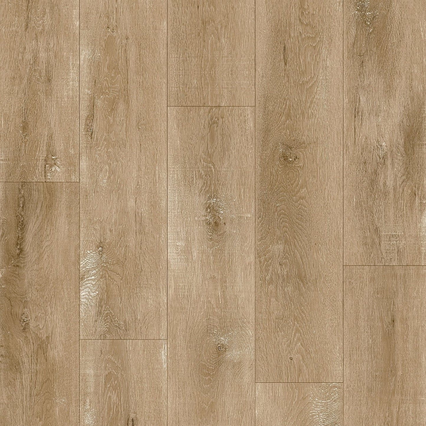 OFFERTA Baufloor Silver Pavimento SPC