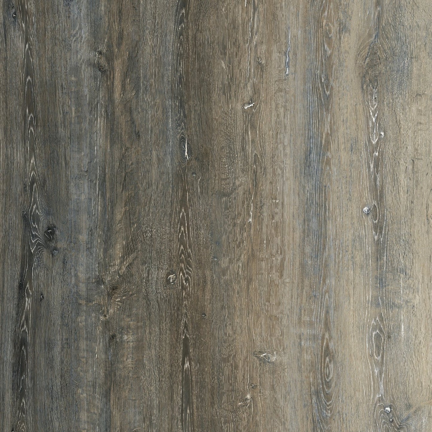OFFERTA Baufloor Silver Pavimento SPC