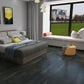 Concrete Pavimento